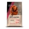 Vitalcan Balanced Natural Recipe Cerdo para Perro