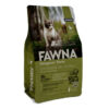 Fawna Gato Kitten
