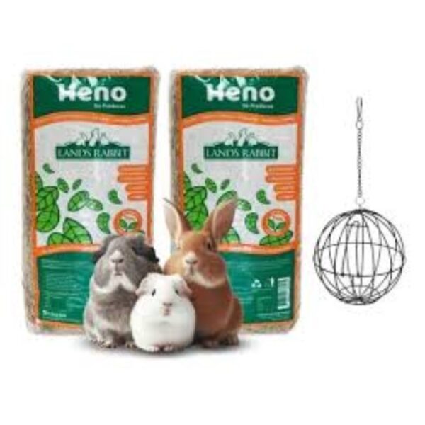 Heno en Pasto Alimento para Roedores - Imagen 2