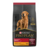 Proplan para Perro Adulto Mediano