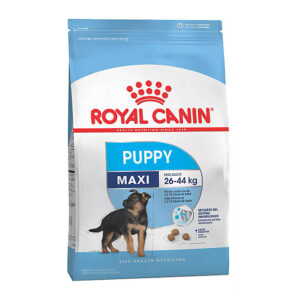 Royal Canin Maxi Puppy x 3 y 15kg