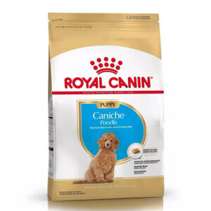 Royal Canin Poodle Puppy x 3kg