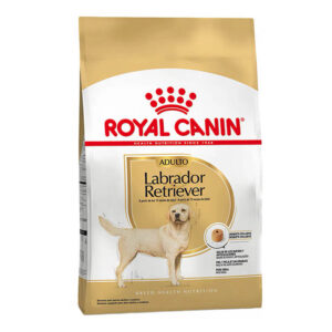 Royal Canin Labrador Adulto x 12kg