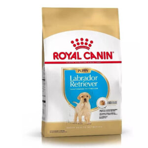 Royal Canin Labrador Junior x 12kg