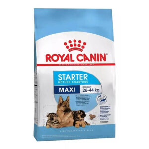 Royal Canin Starter Maxi x 10kg