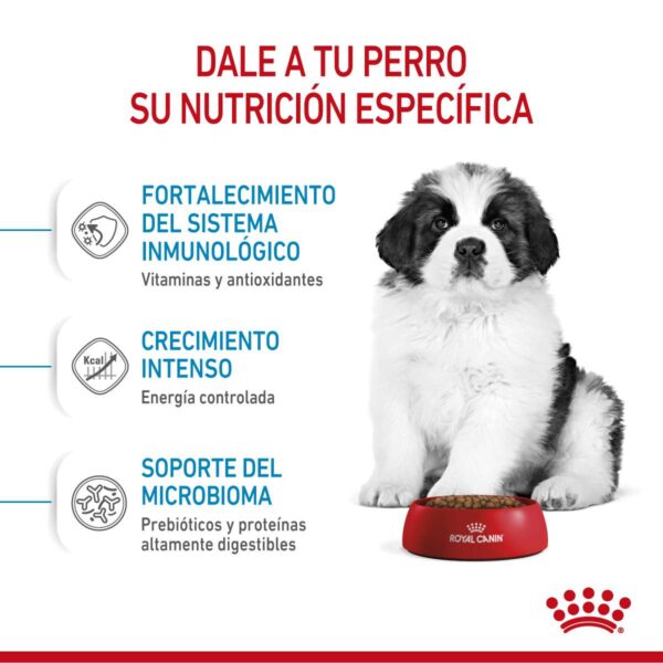 Royal canin Giant Puppy Alimento Seco para Perro | 15 kg