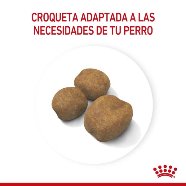 Royal canin Giant Puppy Alimento Seco para Perro | 15 kg