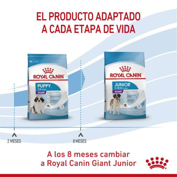 Royal canin Giant Puppy Alimento Seco para Perro | 15 kg