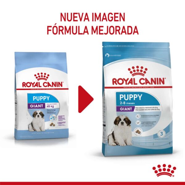 Royal canin Giant Puppy Alimento Seco para Perro | 15 kg