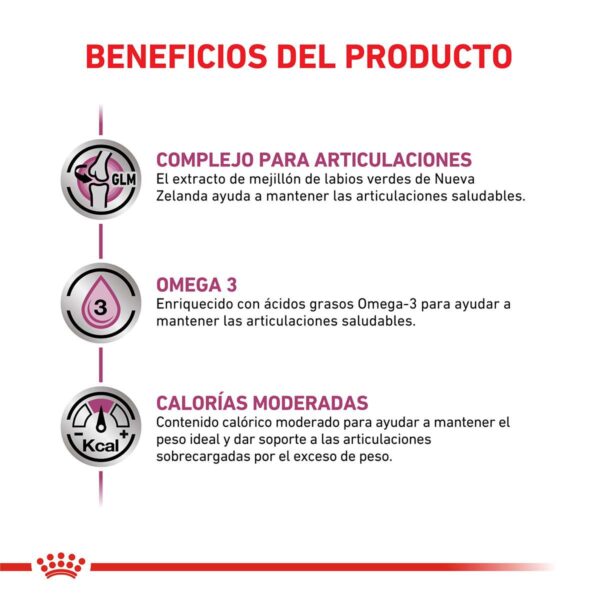 Royal Canin Mobility Canine Alimento Seco para Perro | 2 kg