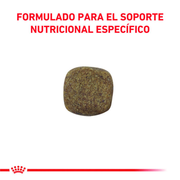 Royal Canin Mobility Canine Alimento Seco para Perro | 2 kg
