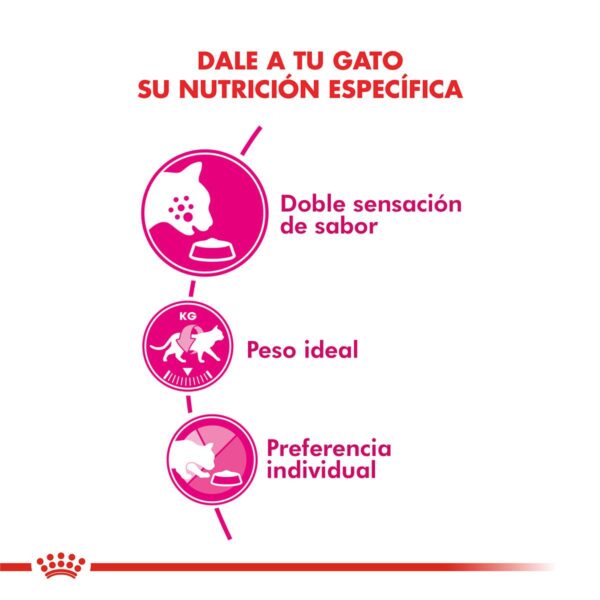 Royal Canin Exigent Alimento Seco para Gato | 1,5 kg
