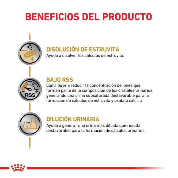 Royal Canin Urinary S/O Canine Alimento Húmedo en Lata para Perro | 200 gr