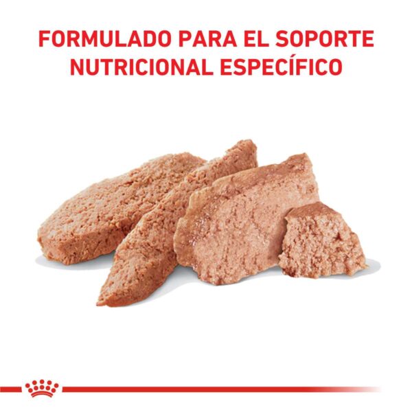 Royal Canin Urinary S/O Canine Alimento Húmedo en Lata para Perro | 200 gr