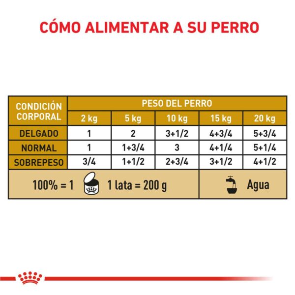 Royal Canin Urinary S/O Canine Alimento Húmedo en Lata para Perro | 200 gr