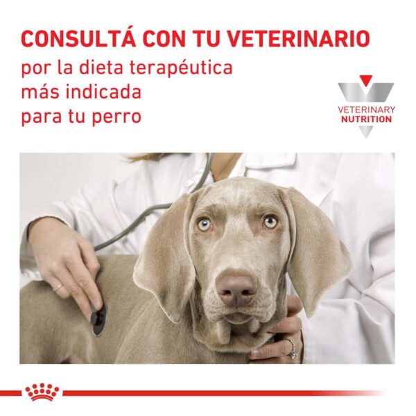Royal Canin Urinary S/O Canine Alimento Húmedo en Lata para Perro | 200 gr