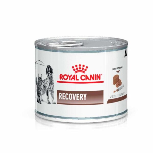Royal Canin Recovery Feline & Canine Alimento Húmedo en Lata para Gato y Perro | 195 gr