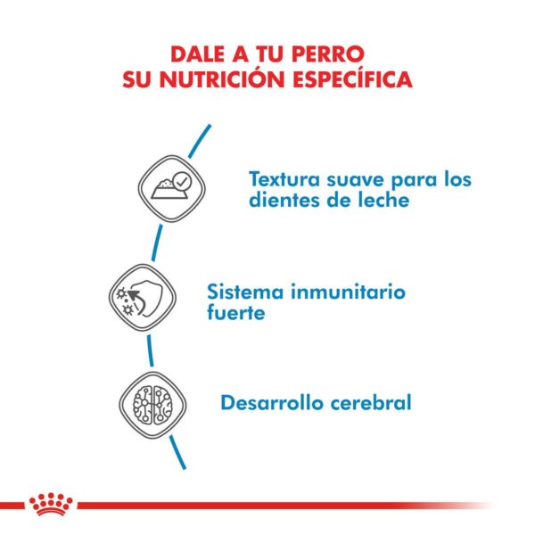 Royal Canin Mini Puppy Alimento Húmedo en Pouch para Perro | 85 gr