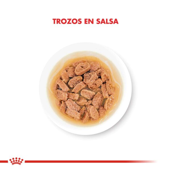 Royal Canin Mini Puppy Alimento Húmedo en Pouch para Perro | 85 gr