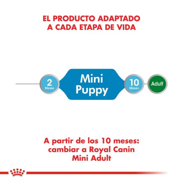 Royal Canin Mini Puppy Alimento Húmedo en Pouch para Perro | 85 gr