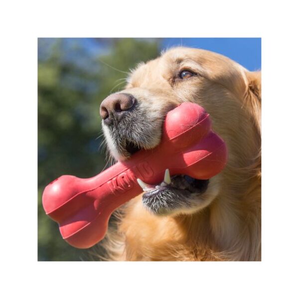 Kong Goodie Bone Classic Juguete para Snacks | M y L - Imagen 2