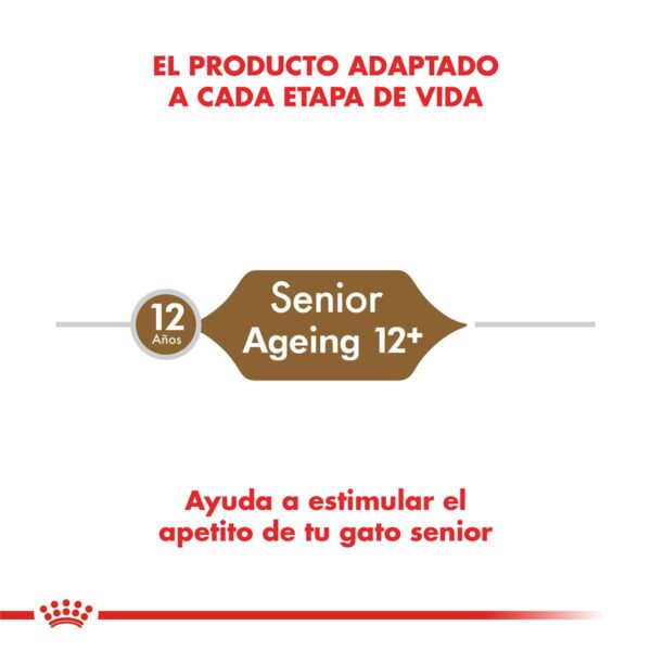 Royal Canin Ageing 12+ Alimento Seco para Gato | 2 kg