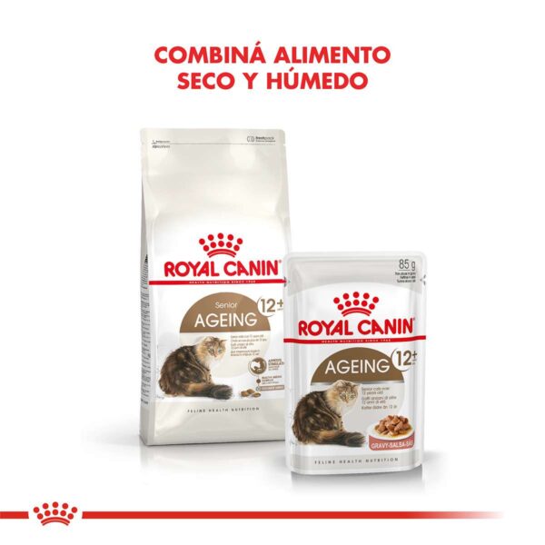 Royal Canin Ageing 12+ Alimento Seco para Gato | 2 kg