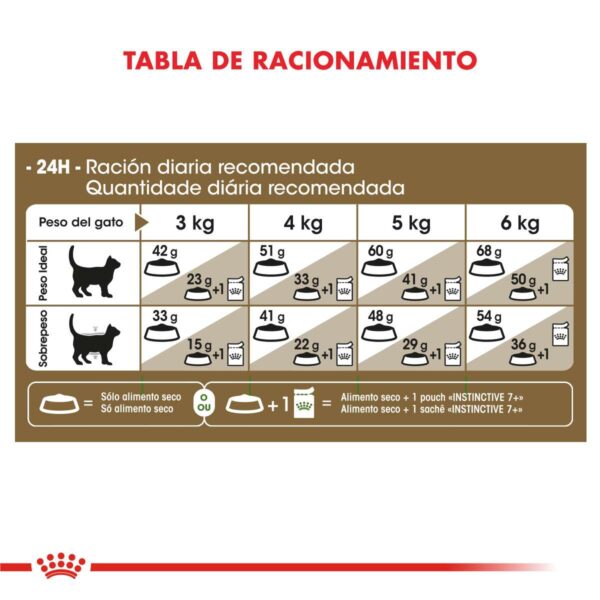 Royal Canin Ageing 12+ Alimento Seco para Gato | 2 kg