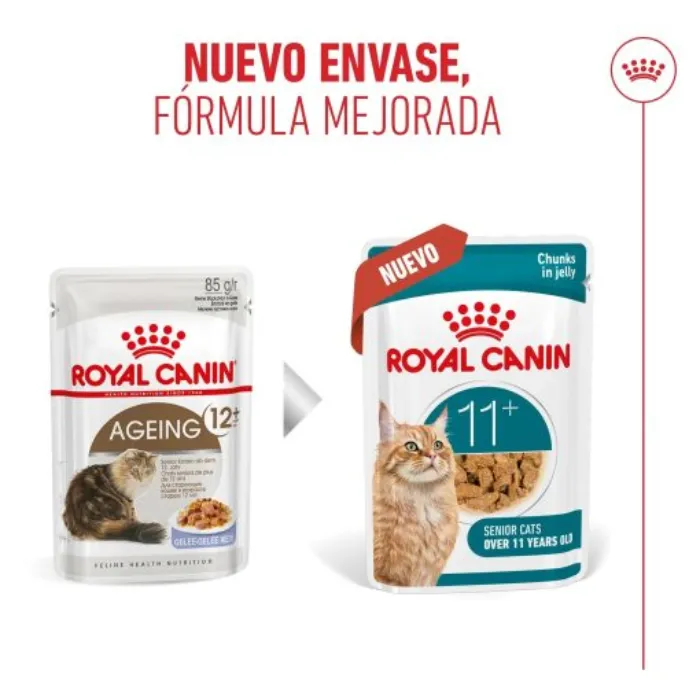 Royal Canin Ageing 11+