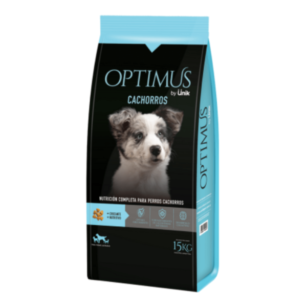 Optimus Cachorro