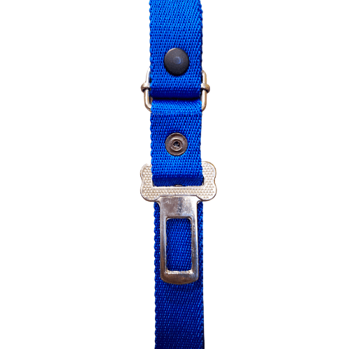 Cinturón de Seguridad para Mascota | Doble Función Correa 120 cm