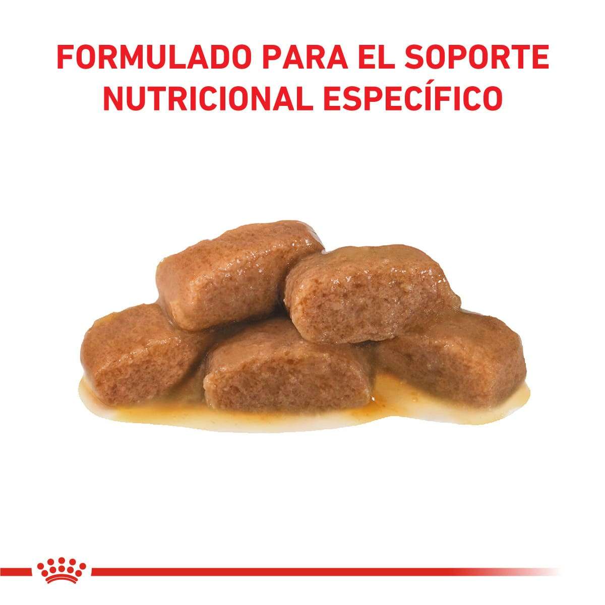 Royal Canin Early Renal Feline Alimento Húmedo en Pouch para Gato