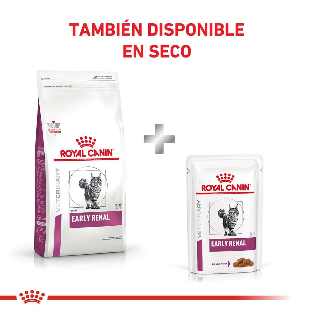 Royal Canin Early Renal Feline Alimento Húmedo en Pouch para Gato