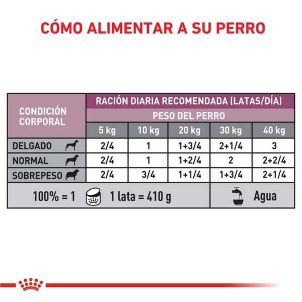 Royal Canin Renal Canine Alimento Húmedo en Lata para Perro