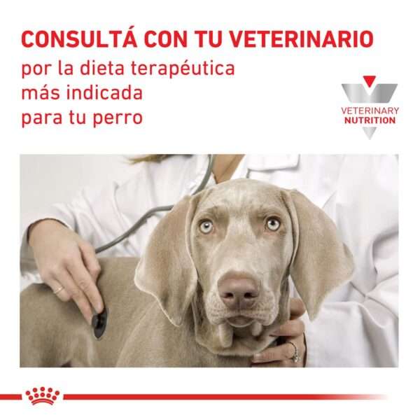 Royal Canin Renal Canine Alimento Húmedo en Lata para Perro