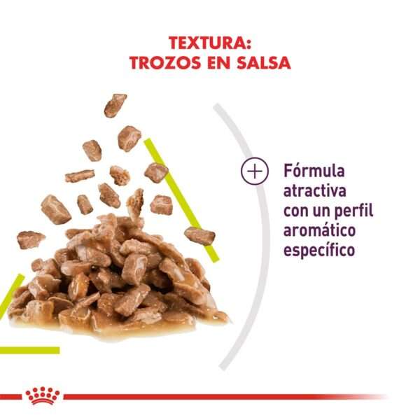 Royal Canin Sensory Smell Alimento Húmedo en Pouch para Gato