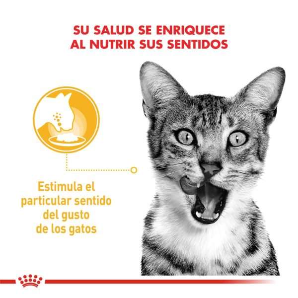 Royal Canin Sensory Taste Alimento Húmedo en Pouch para Gato