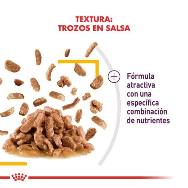 Royal Canin Sensory Taste Alimento Húmedo en Pouch para Gato