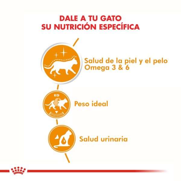 Royal Canin Hair & Skin Alimento Húmedo en Pouch para Gato