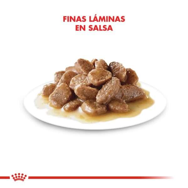 Royal Canin Hair & Skin Alimento Húmedo en Pouch para Gato