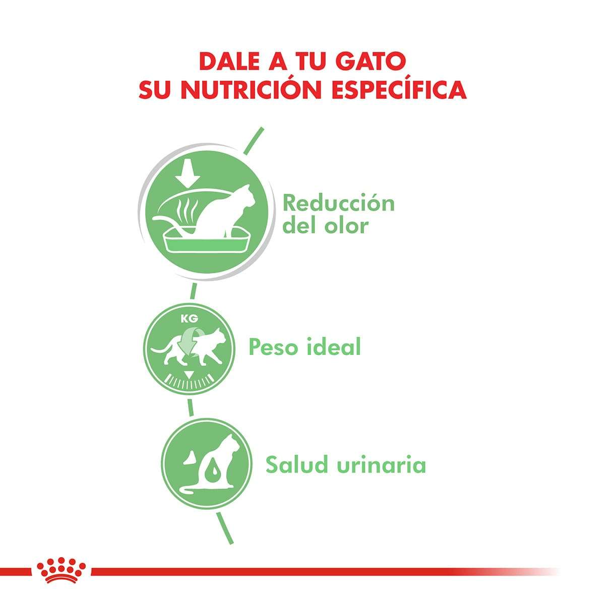 Royal Canin Digest Sensitive Alimento Húmedo en Pouch para Gato