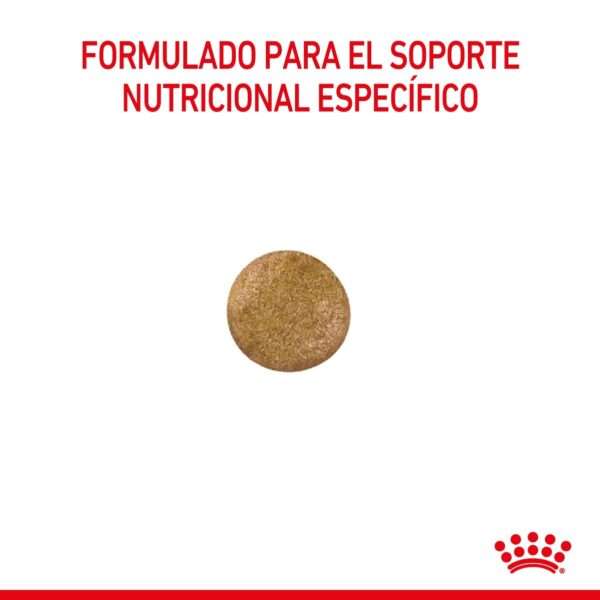 Royal Canin Anallergenic Feline Alimento Seco para Gato
