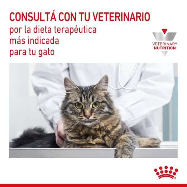 Royal Canin Anallergenic Feline Alimento Seco para Gato