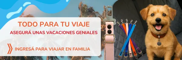 Fundas para asiento de auto y cinturón de seguridad para mascotas. Que tu perro viaje seguro no es una opción