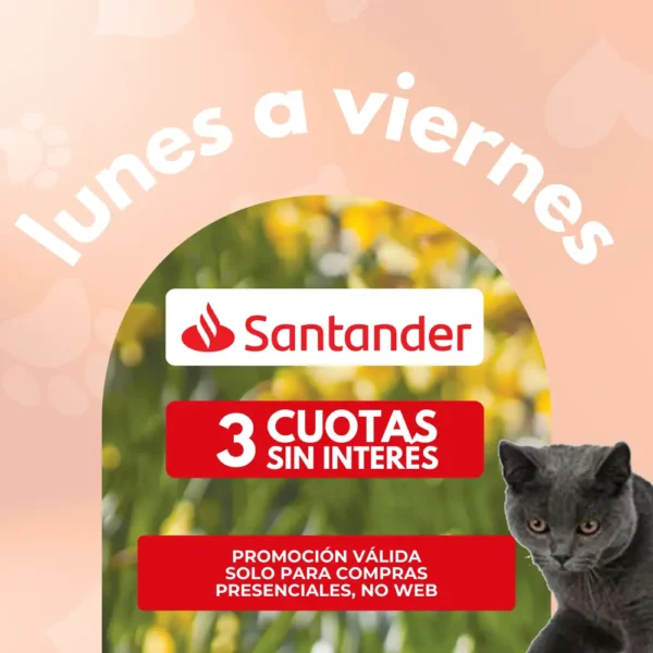 3 cuotas sin interés lunes a viernes con banco Santander