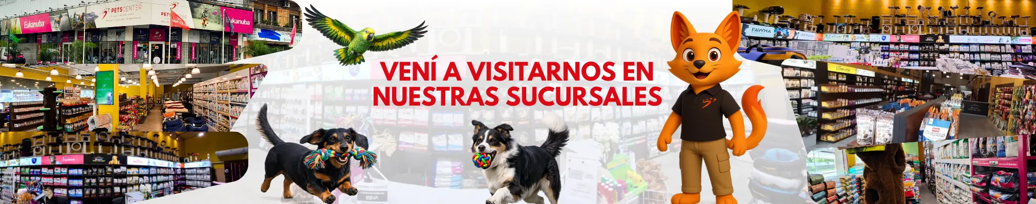 Vení a visitarnos en nuestras sucursales
