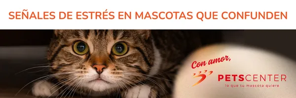 Lee más sobre el artículo Señales de estrés en mascotas que confunden