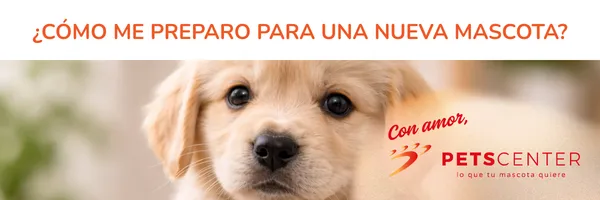 ¿Cómo me preparo para una nueva mascota?