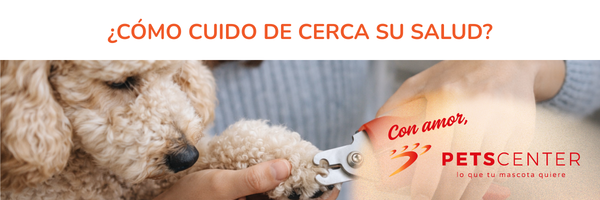 Lee más sobre el artículo Cómo cuido de cerca su salud