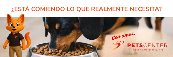 Lee más sobre el artículo ¿Está comiendo lo que realmente necesita?